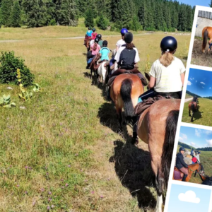 A cheval dans le jura